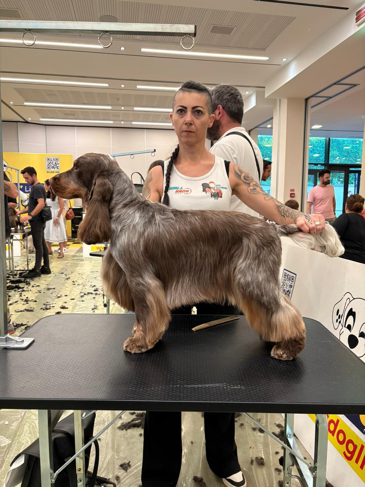 beginner agosto 2025